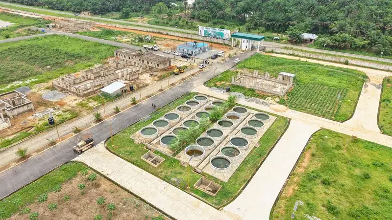 Ibom Model Farm