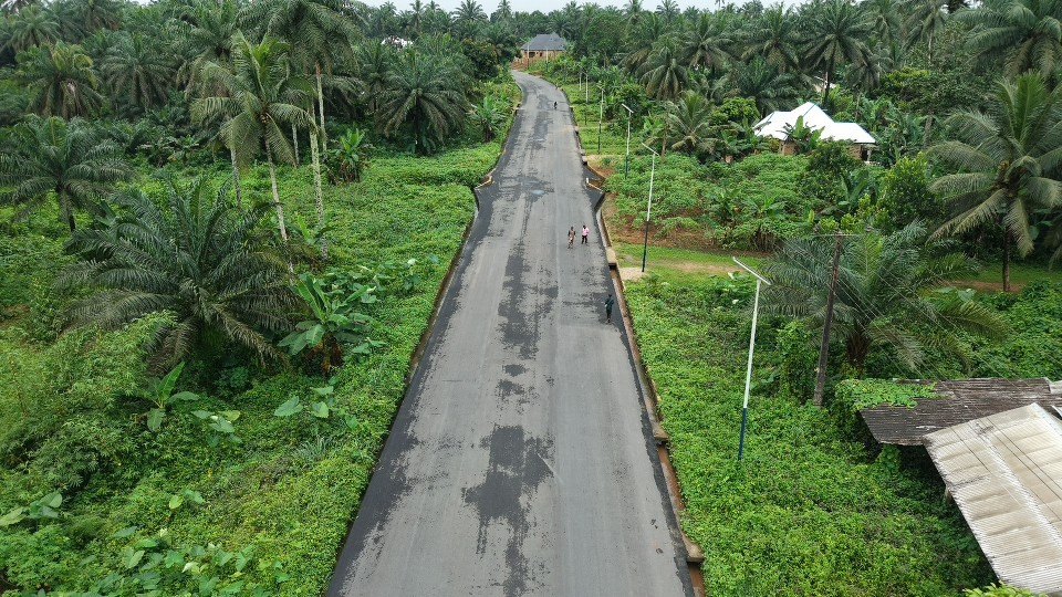 The road cutting through bush, seen from above
