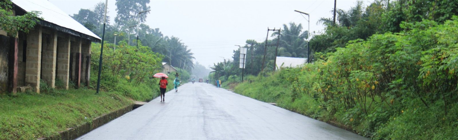 Wet asphalt road lined with street lights and greenery
