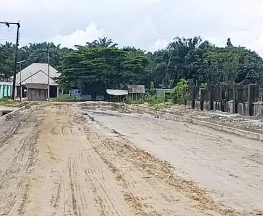 Wide earth road with trees and buildings ahead