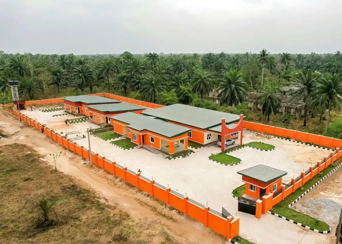 Aerial view of the Model Primary Healthcare Centre at Ikot Nkwo, set among oil palms