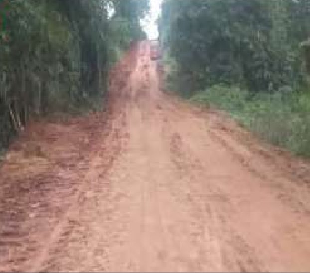 Cleared laterite road bed running through forest, ready for surfacing