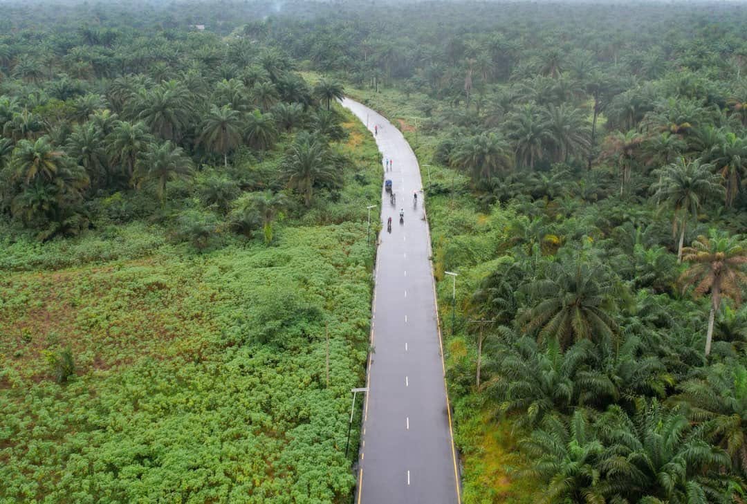 Aerial view of the finished road through palm forest