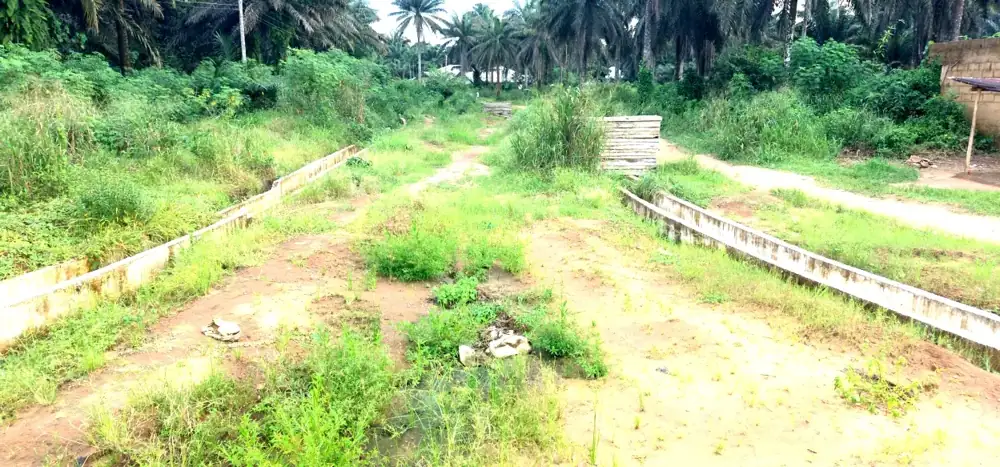 Ekponwa Market Road