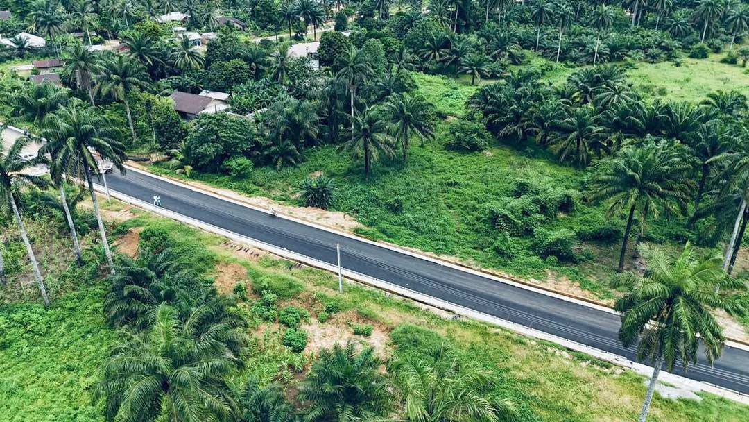 Aerial view of a finished asphalt road with lane markings through palm bush
