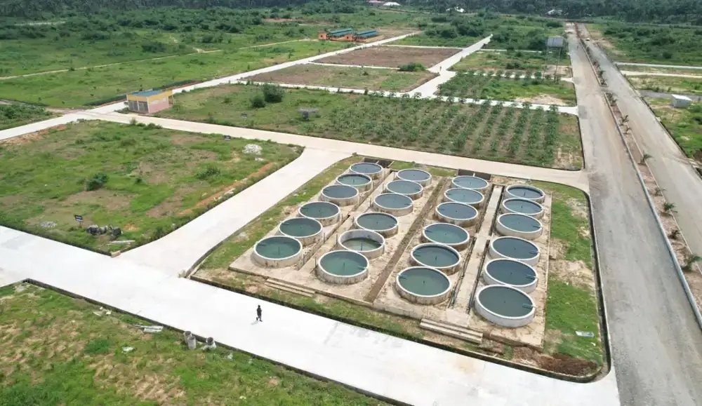 Fish ponds and planted plots at the Ibom Model Farm