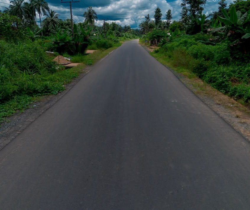 Newly surfaced straight road running through green bush and palms
