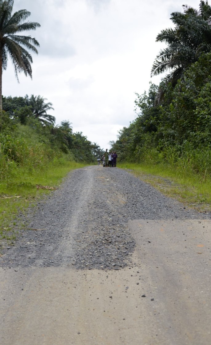 Another view of the Edikor-Udesi road