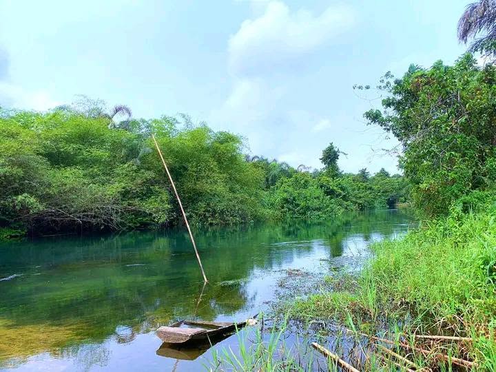 Blue River tourism development, Ward 2