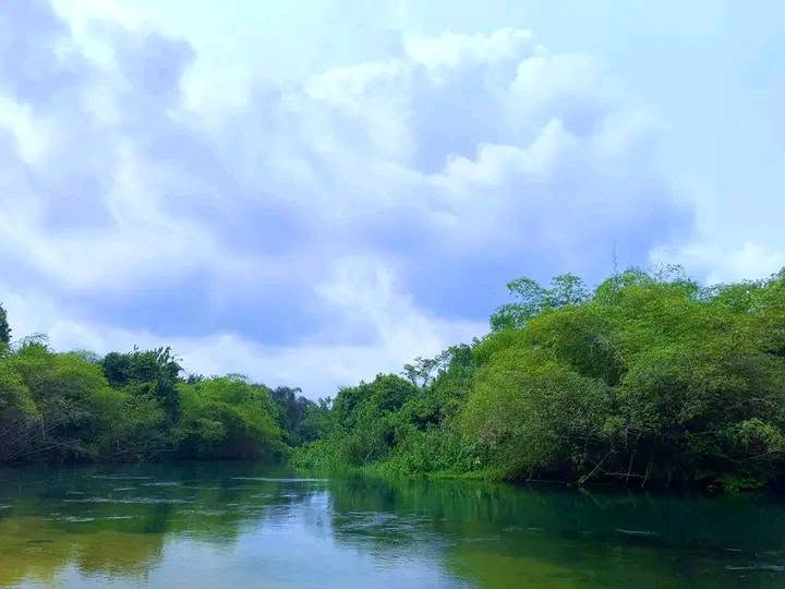 A wide stretch of the Blue River in Ukanafun lined with thick green bush