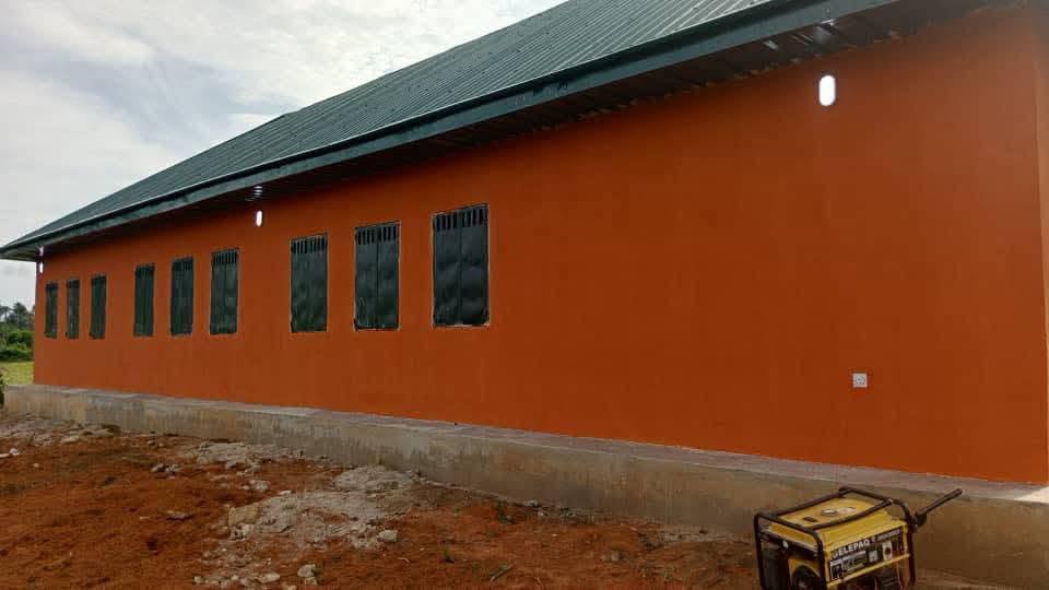Rear wall of the classroom block with its row of windows