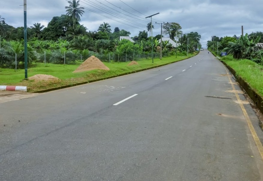Newly surfaced road with centre markings running straight past palm trees